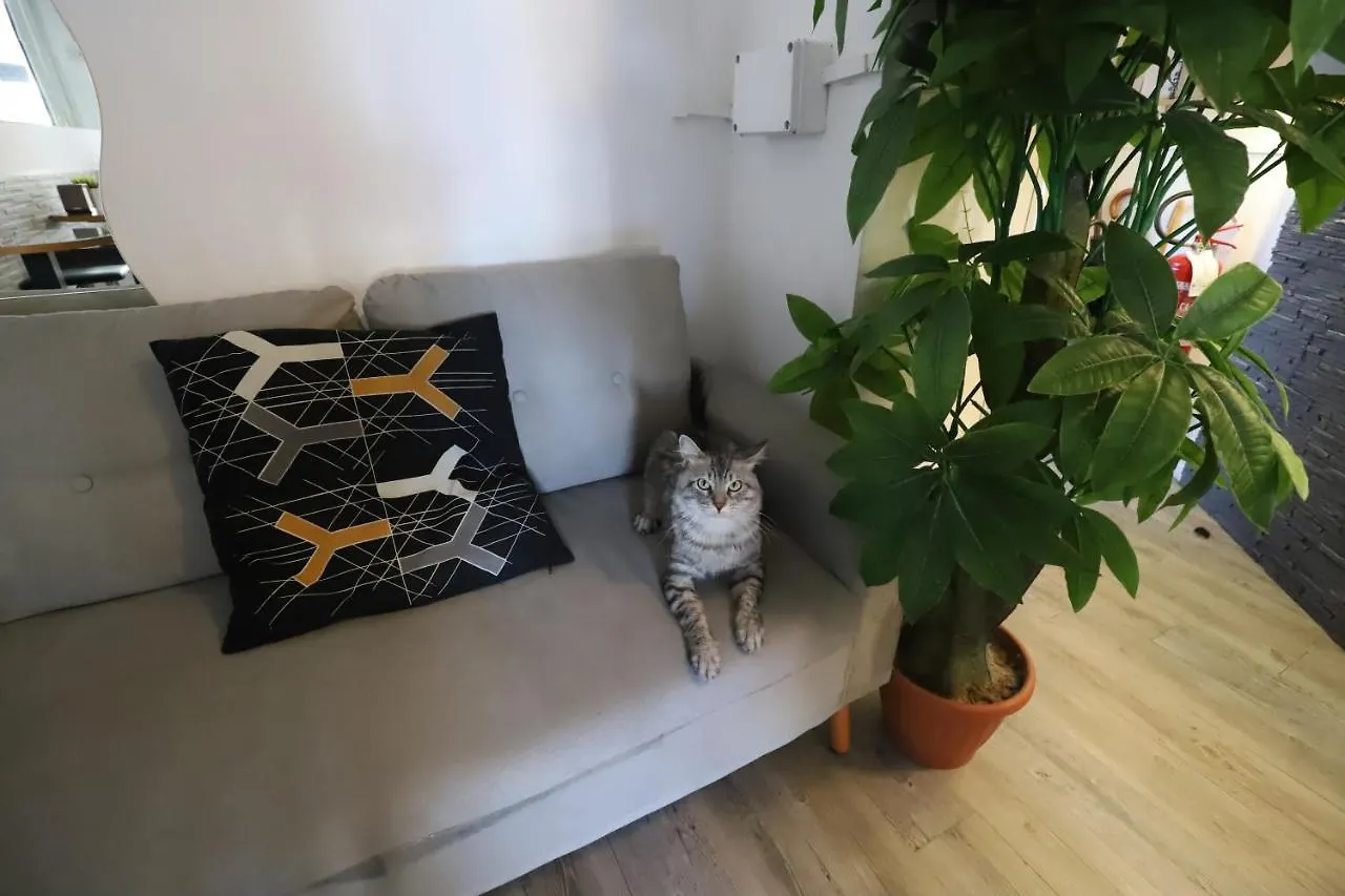 **  Guest House Pirelli Milano Italy